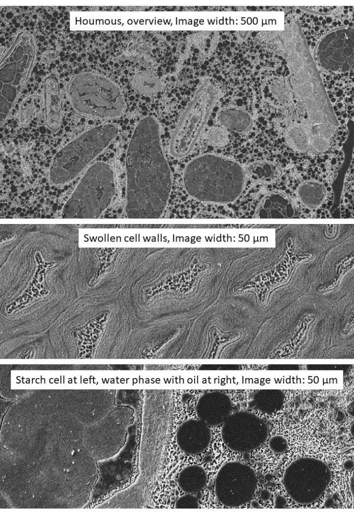 The microstructure of hummus, a scan by Consistence