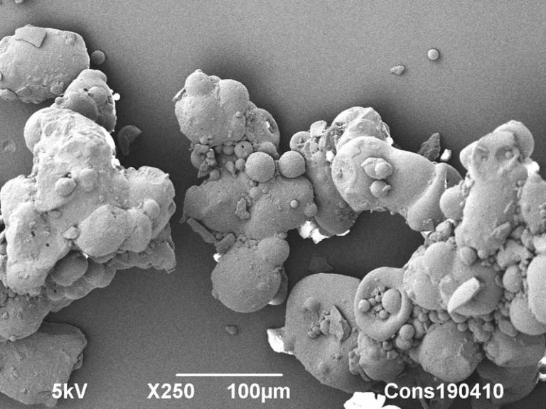 Cryo-SEM image of a commercial milk powder. Microstructure is of direct influence on powder properties. 100 µm. Photo by Jaap Nijsse, Consistence Microstructure Research Laboratory.