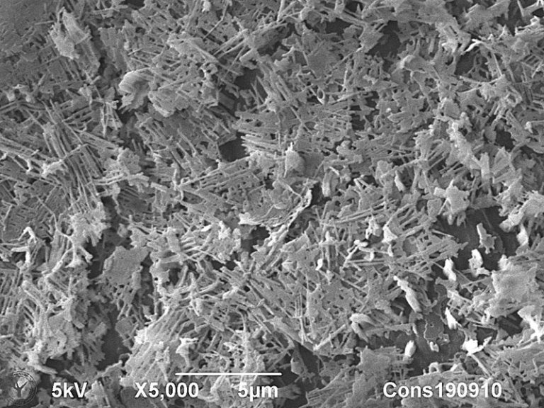 Cryo-SEM image of wax crystals on a cabbage leaf (Brassica Oleracea). The typical composition and structure of this natural wax coating creates superhydrophobicity and a special white gloss effect on cabbage leafs. 5 µm. Photo by Jaap Nijsse, Consistence Microstructure Research Laboratory.