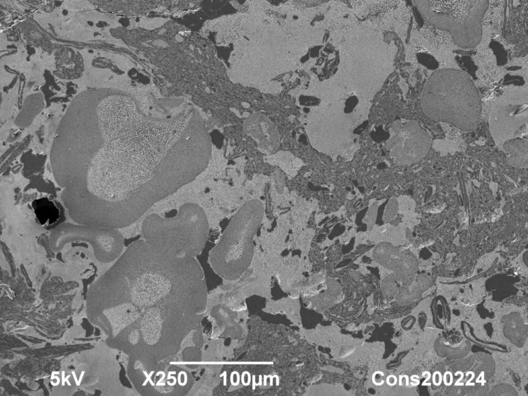 Cryoplaning SEM image of a vegan burger at low magnification. Insightful cross-sectional overviews can be obtained with cryoplaning. 100 µm. Photo by Jaap Nijsse, Consistence Microstructure Research Laboratory.