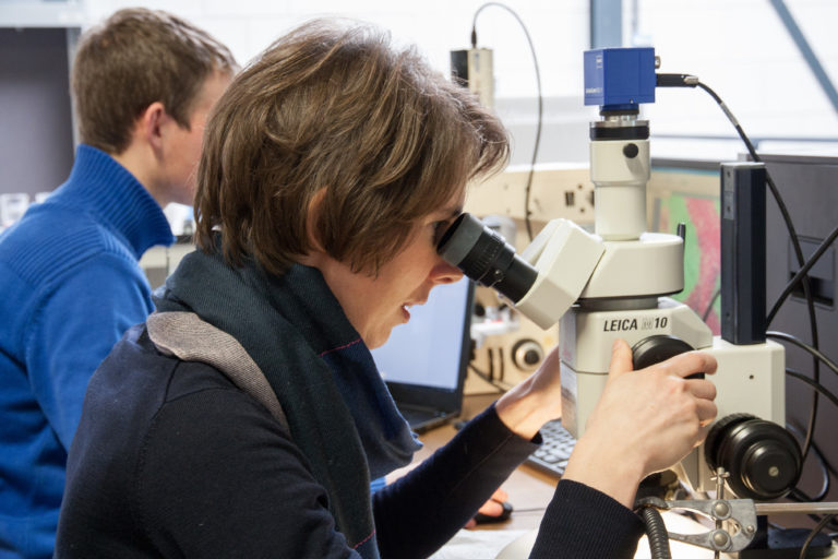 Stereo Microscopy at Consistence Microstructure Research Laboratory