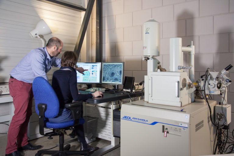 Scanning Electron Microscopy at Consistence Microstructure Research Laboratory