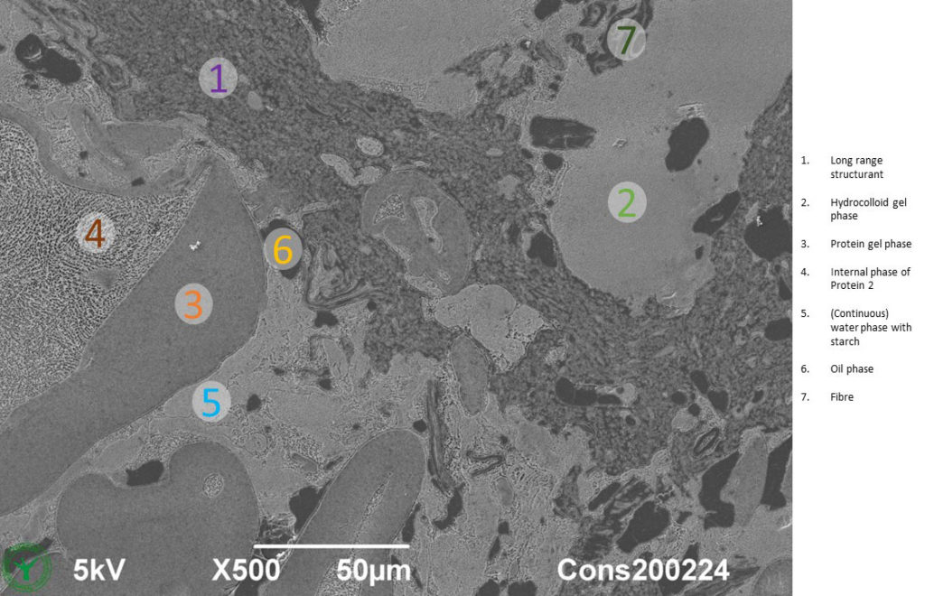 Cryoplaning Scanning Electron Microscopy image of cross section through a vegan meat alternative (fried burger). Numbers indicate various microstructure phases. By Jaap Nijsse, Consistence Microstructure Research Laboratory.