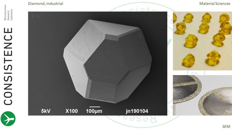 SEM image of industrial diamonds at consistence microstructure research laboratory