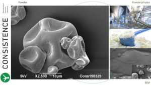 SEM imaging of dairy powders at low and high magnifications. By Jaap Nijsse, www.Consistence.nl
