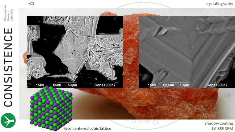 SEM images of KCl salt crystals by Consistence Microstructure Research Laboratory