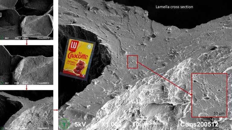 SEM imaging of Cracotte cracker. By Jaap Nijsse, www.Consistence.nl