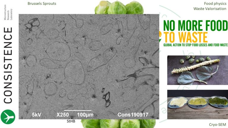 Cryoplaning SEM image of brussels sprouts puree. cryo-SEM. By Jaap Nijsse, Consistence Microstructure Research Laboratory.