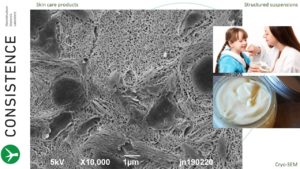 Cryoplaning SEM image of body lotion with multi layered structures. Photo by Jaap Nijsse, www.Consistence.nl
