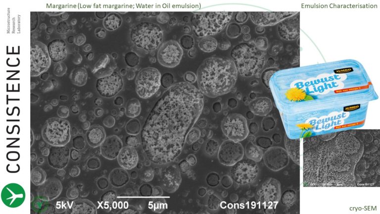 Cryoplaning SEM image of low fat margarine. Bewust Light Jumbo. By Jaap Nijsse, www.Consistence.nl