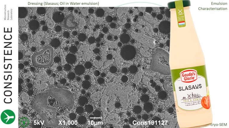 Cryoplaning SEM image of cross section through dressing (slasaus, oil in water emulsion). By Jaap Nijsse, www.Consistence.nl