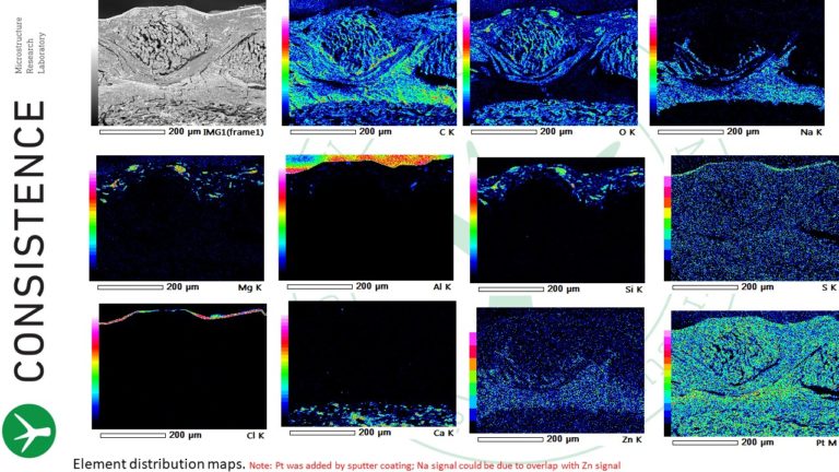 Energy Dispersive X-ray spectroscopy images of cross section through Tesa tape by Consistence Microstructure Research Laboratory.