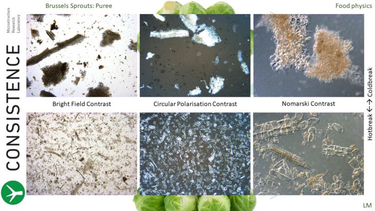 Light Microscopy analysis of hotbreak vs coldbreak brussels sprouts puree. Bright Field Contrast, Circular Polarisation Contrast, Differential Interference Contrast (Nomarski contrast). Consistence Microstructure Research Laboratory