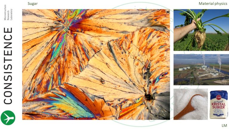 Polarized light microscopy image of sugar crystallized in a thin film. Consistence Microstructure Research Laboratory