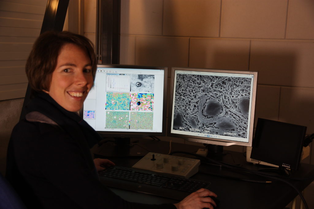 Scanning electron microscopy at Consistence Microstructure Research Laboratory.