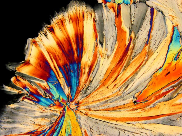 Polarised Light Microscopy image of a crystallised sugar solution. Photo by Jaap Nijsse, Consistence Microstructure Research Laboratory.