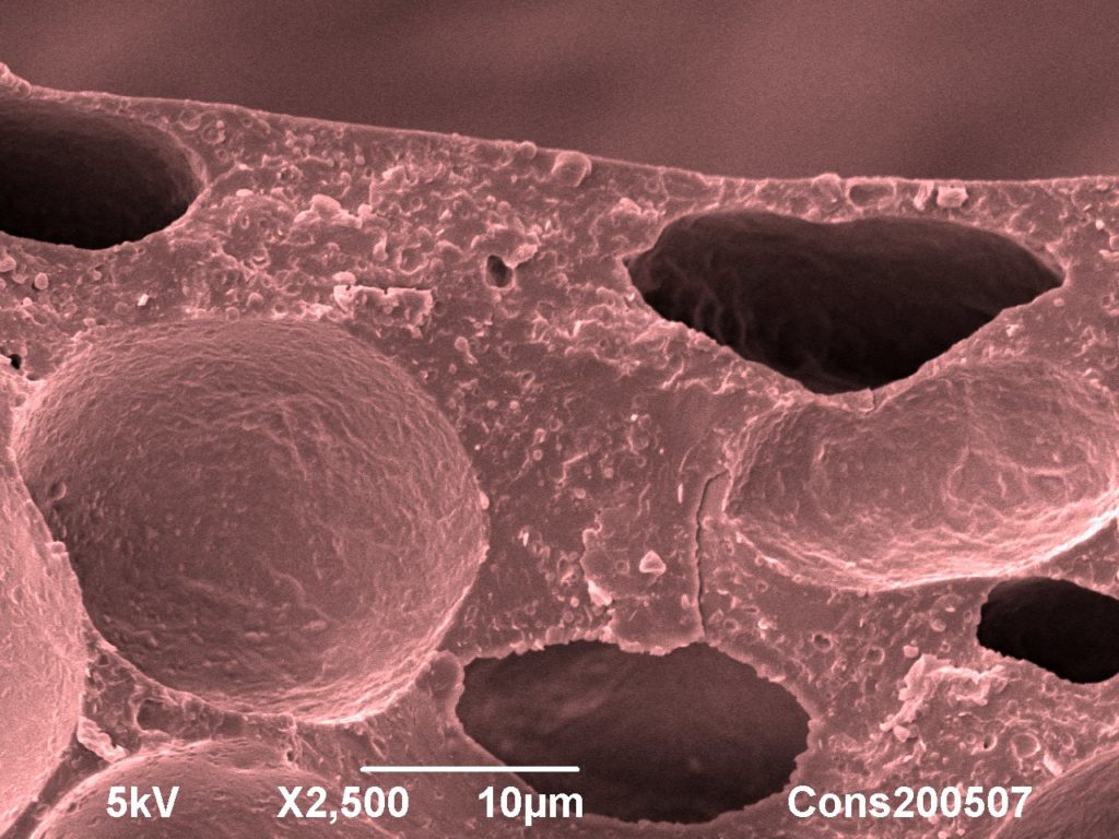 Freeze-fracture cryo-SEM image of ice cream close to surface. Mars Ice Cream. Image width: 52 µm. Photo by Jaap Nijsse, www.Consistence.nl