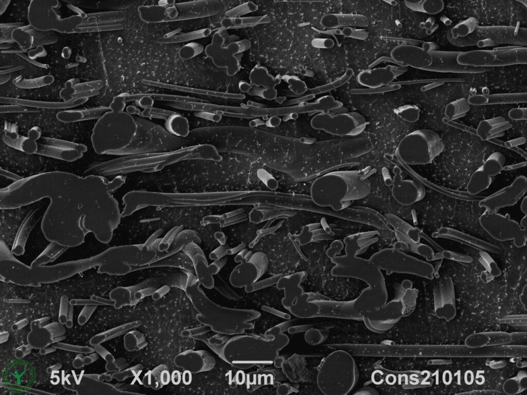 Face Mask Filter Cross Section SEM Microscopy 1000x