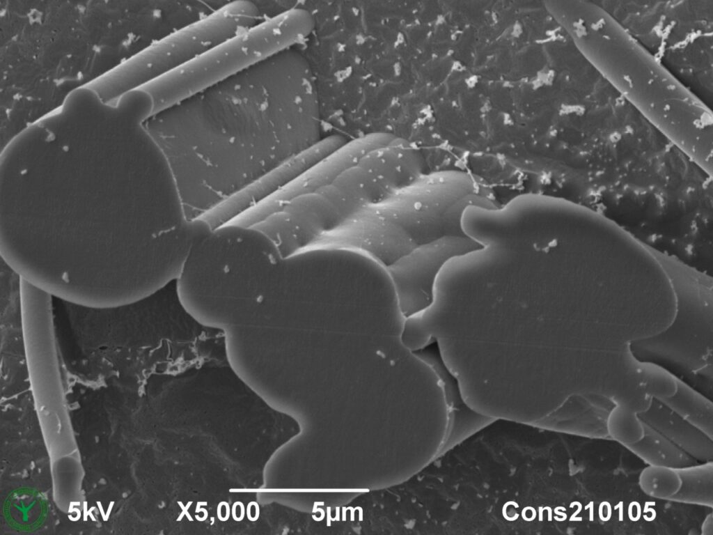 Face Mask Filter Cross Section SEM Microscopy 5000x