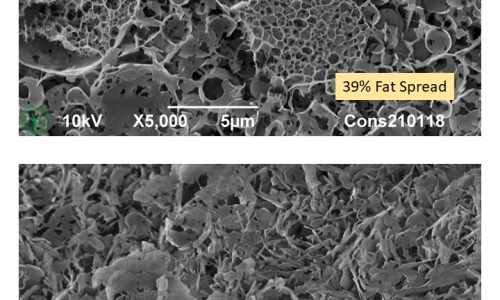 210119 Margarine vs Halvarine deoiled